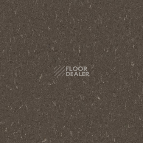 Линолеум Forbo Marmoleum Solid Piano 3632- 363235 sealion фото 1 | FLOORDEALER